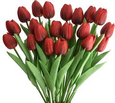 standing-biru-premium-44